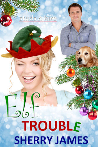 Elf Trouble by Sherry James