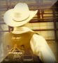 Wild & Wicked Cowboys